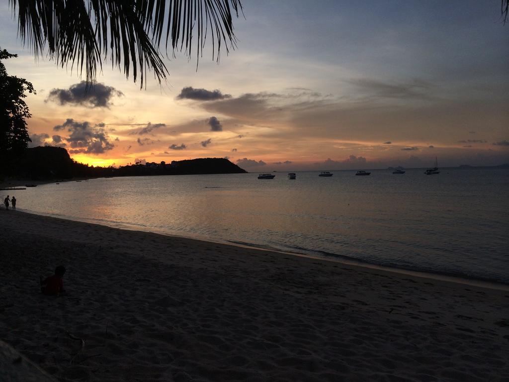 The Boardroom Beach Bungalows بوفوت المظهر الخارجي الصورة
