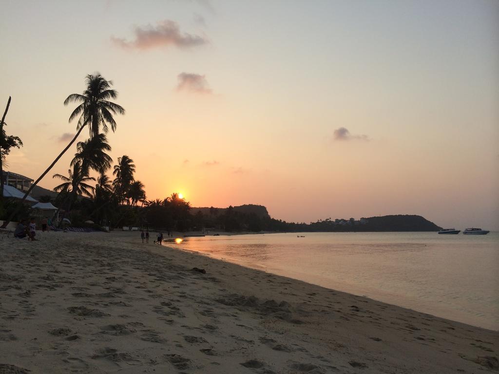The Boardroom Beach Bungalows بوفوت المظهر الخارجي الصورة