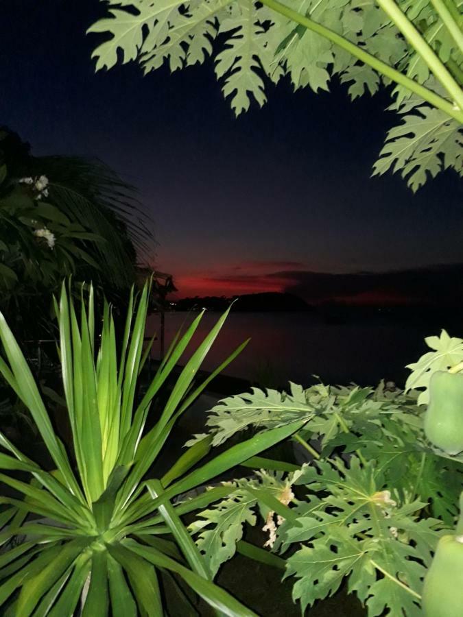 The Boardroom Beach Bungalows بوفوت المظهر الخارجي الصورة