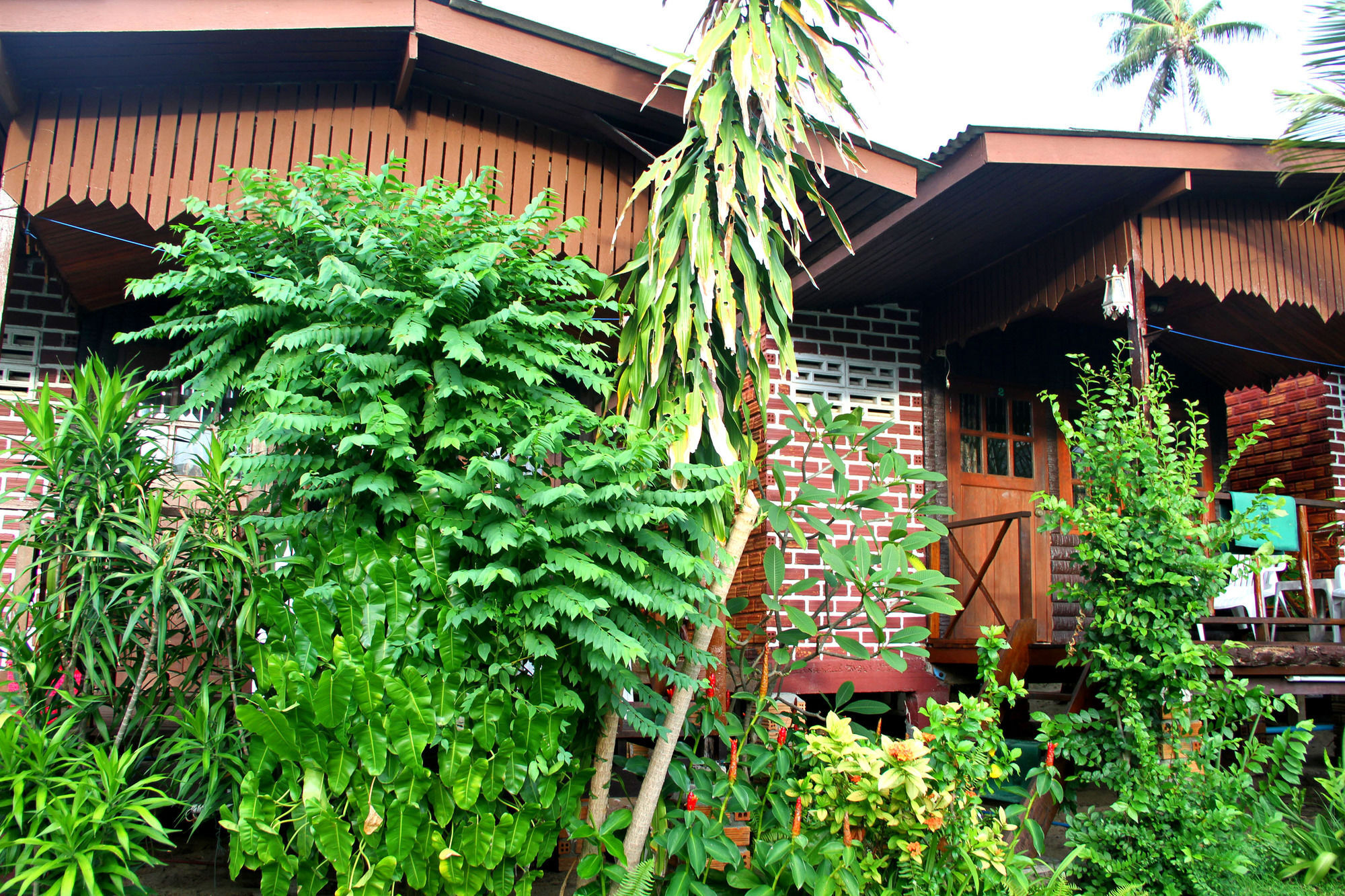 The Boardroom Beach Bungalows بوفوت المظهر الخارجي الصورة